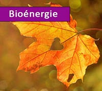 prestation bioénergie